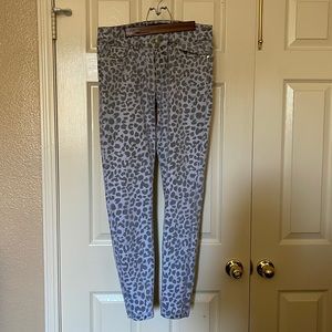 Baby Phat Jeans (Gray-Light Violet-/Bluish)